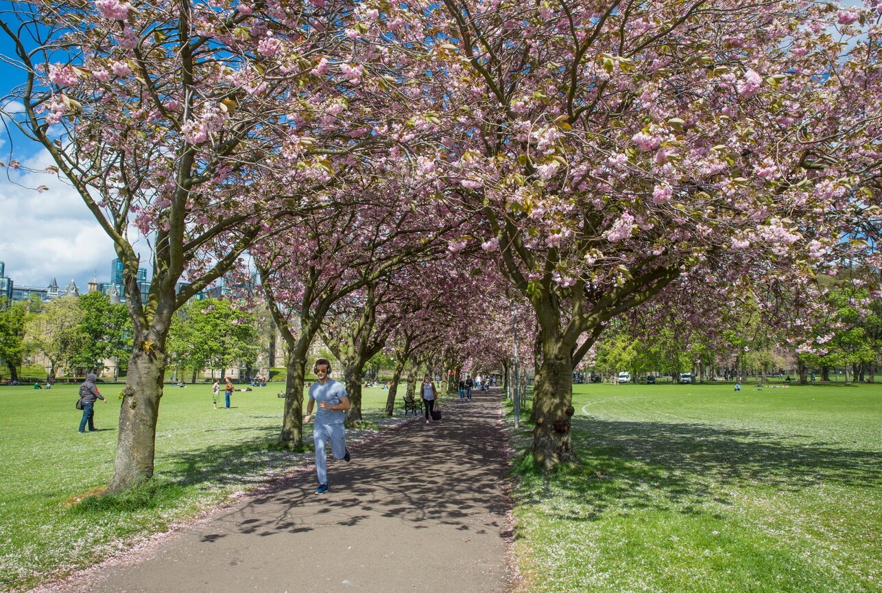 Scotland weather forecast – Scots set to bake in sizzling 29C Sunday as  summer temps hot up UK