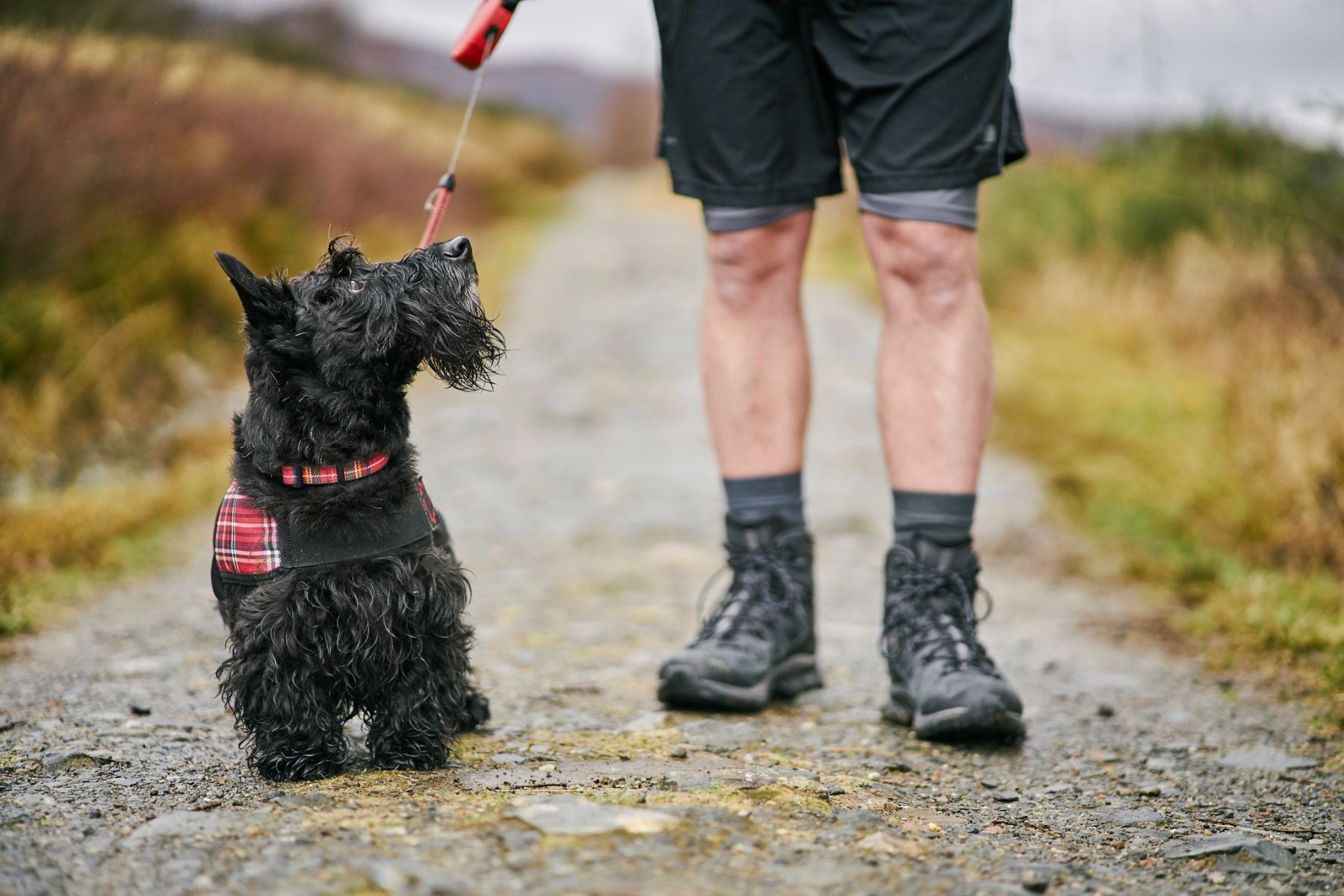 best walking tour companies scotland