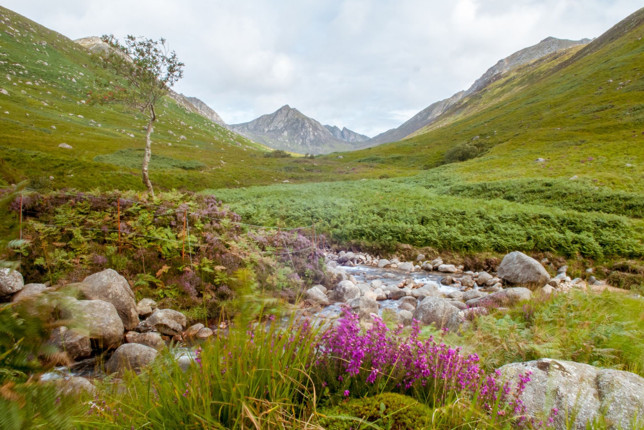 best walking tour companies scotland