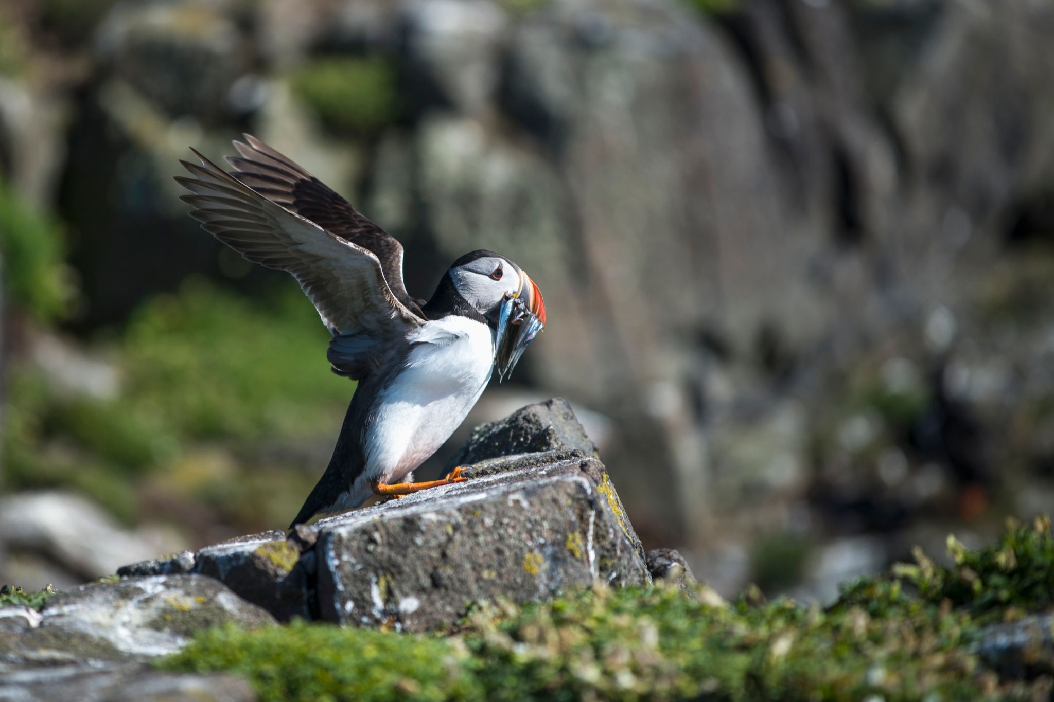 best places to visit scotland nature