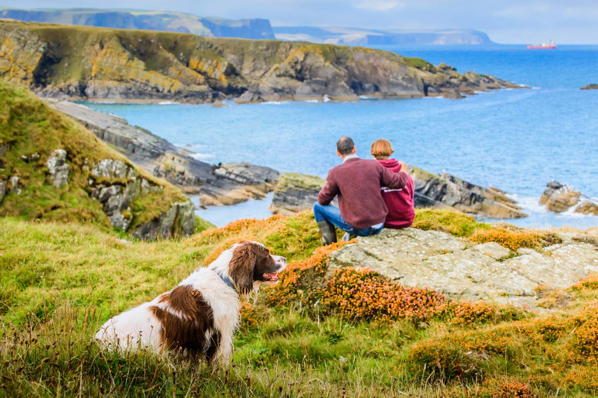 scotland travel with dog
