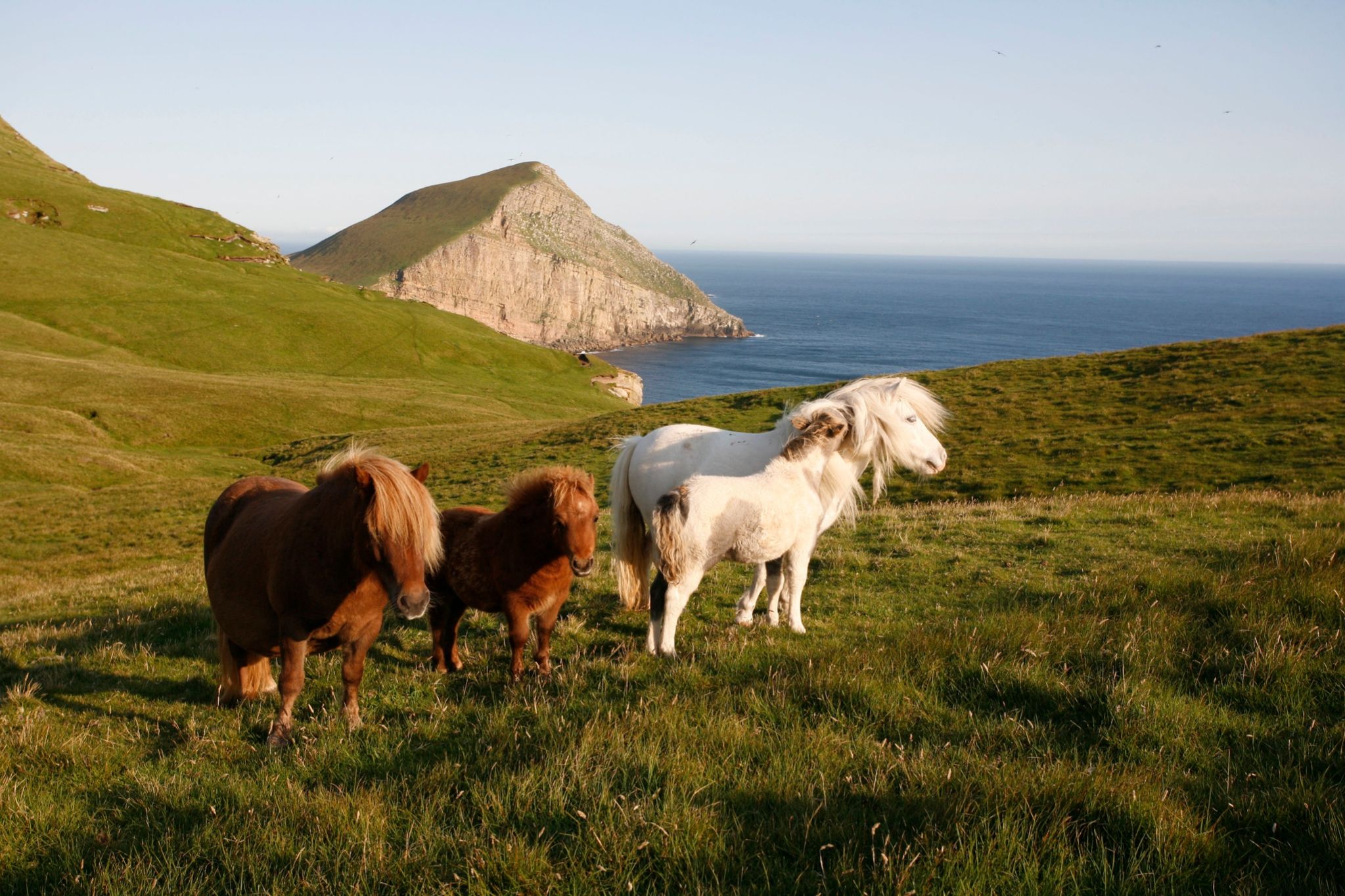 Shetland Islands Accommodation Things To Do Visitscotland