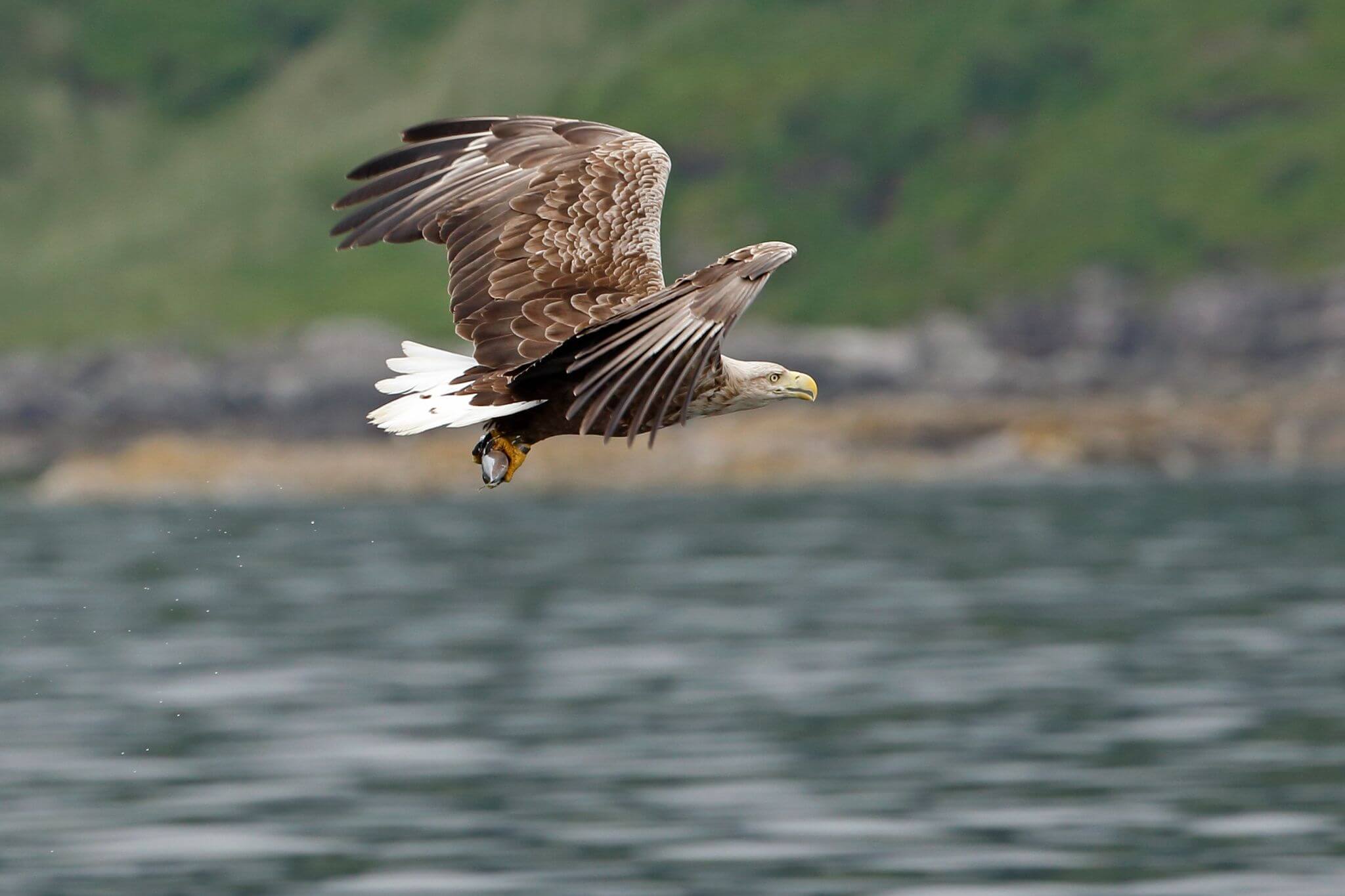 mull tourist map