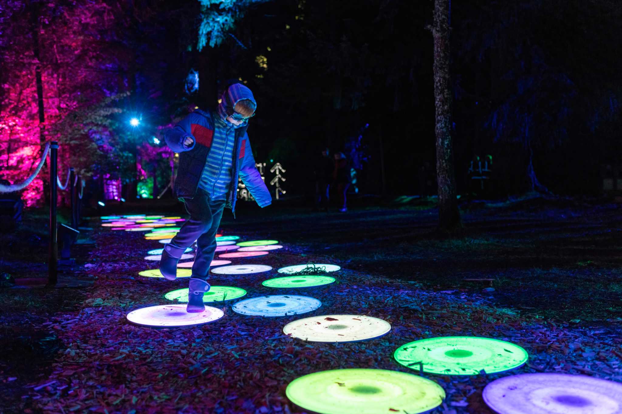 Wander Your Garden At Night On A Magical Pathway Of Glowing Stones