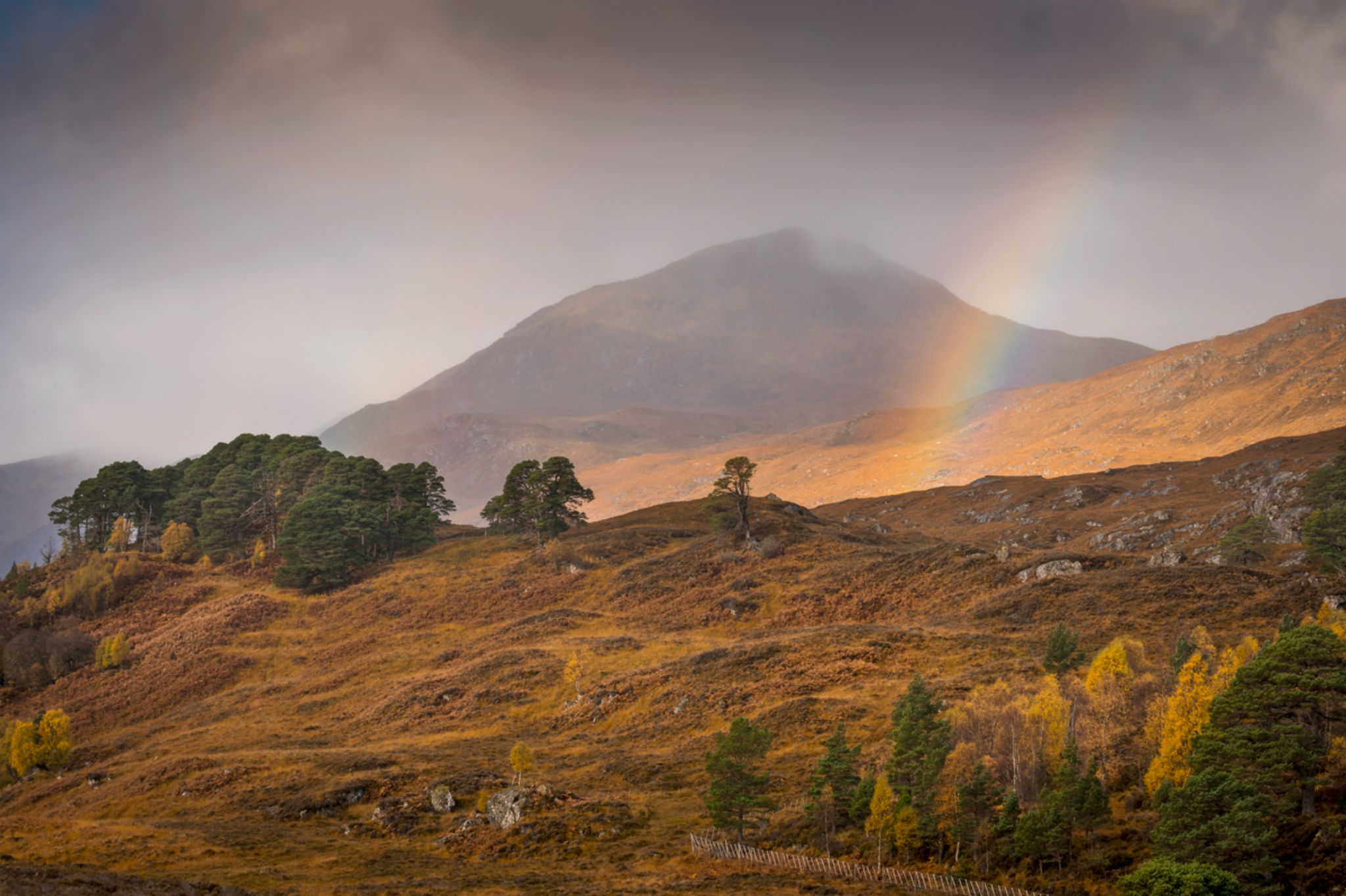 where to visit in scotland in december