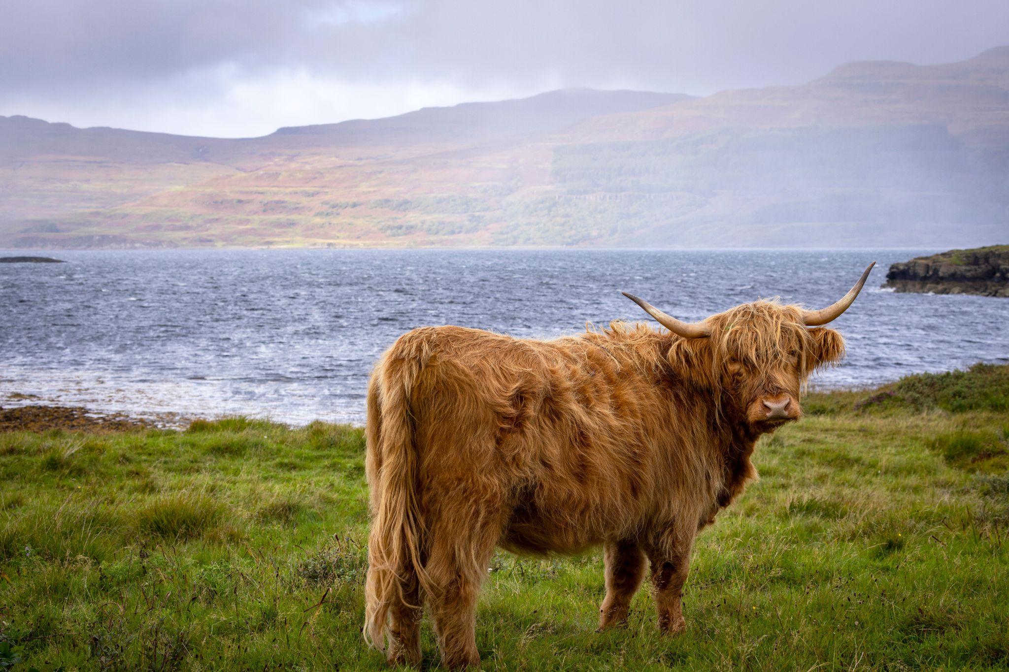 A Beginner s Guide To Scottish Wildlife VisitScotland