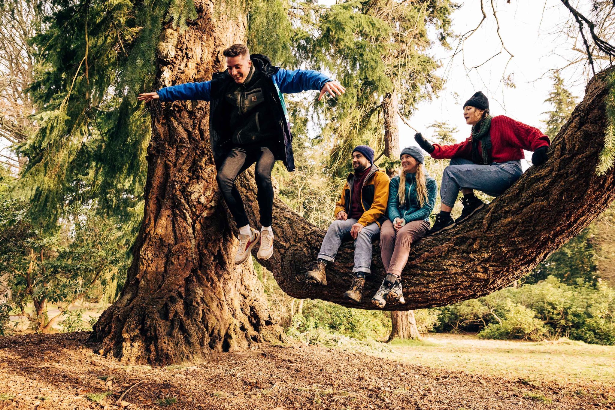 A group of friends enjoying a forest adventure