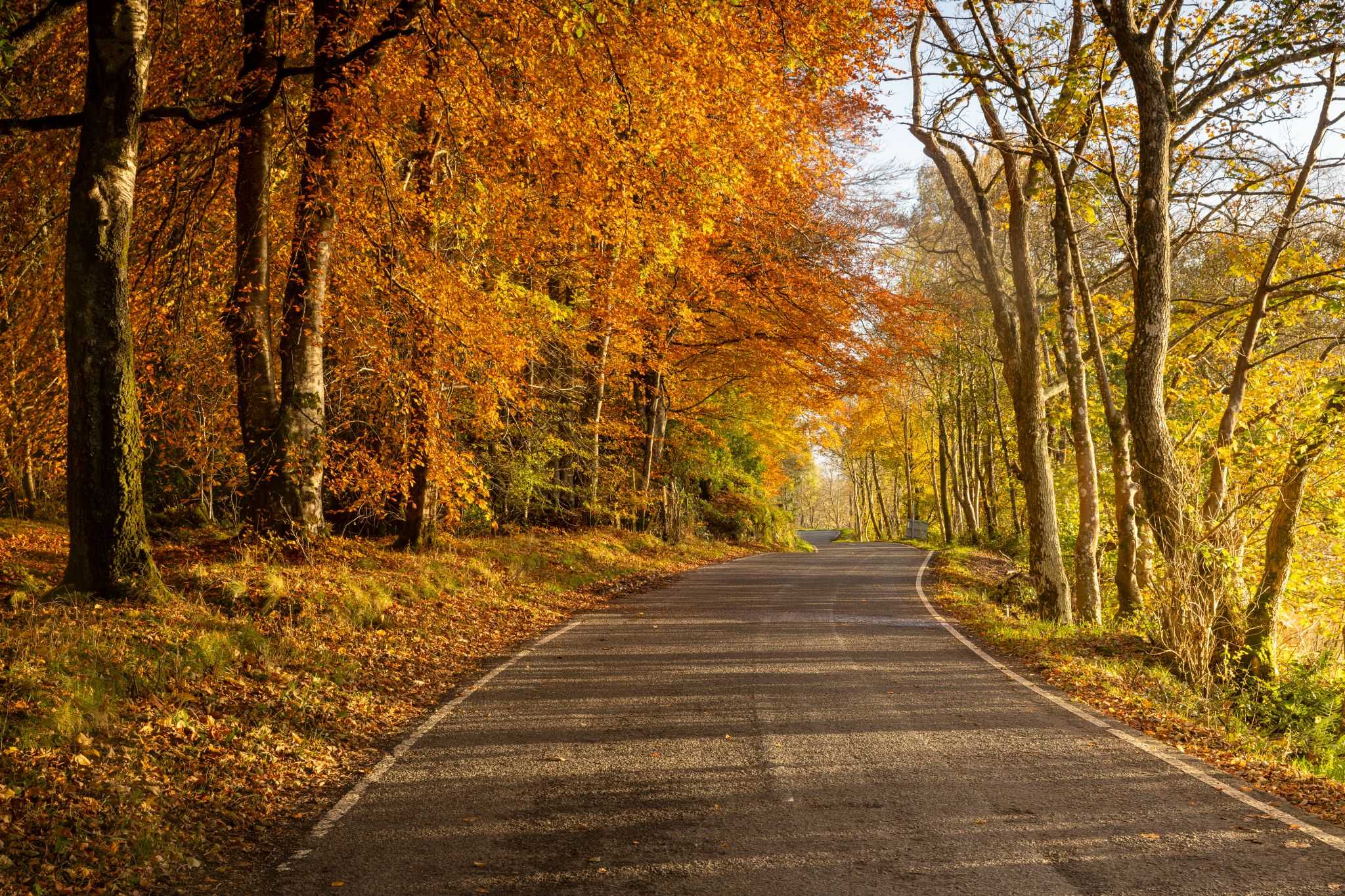 Road to Port of Menteith in autumn