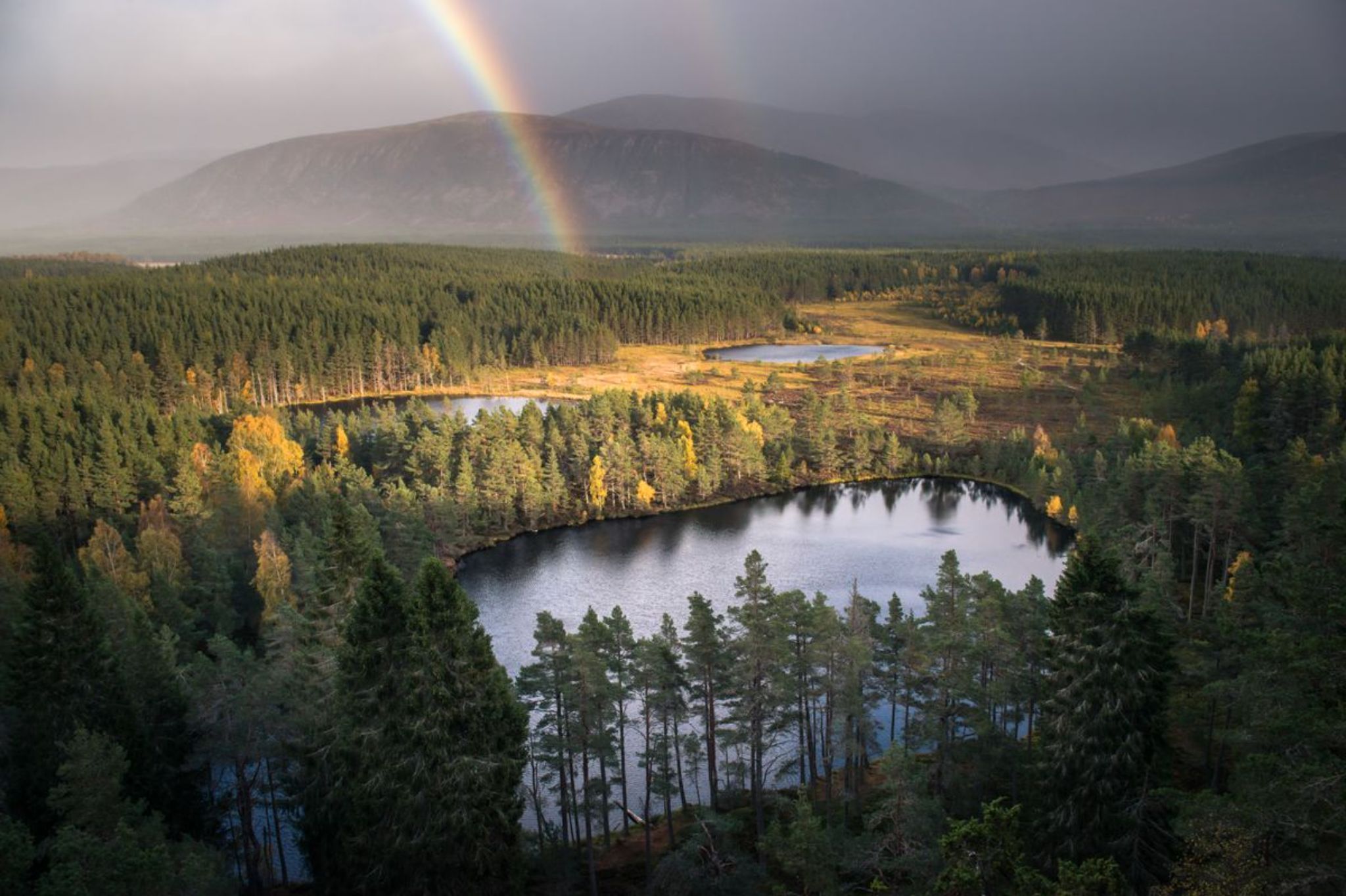 Uath Lochans, Kingussie