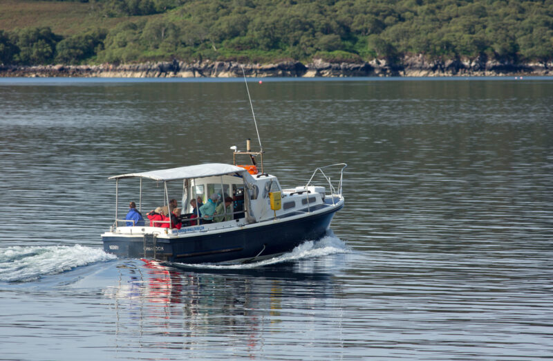 Hebridean Whale Cruises On Gairloch