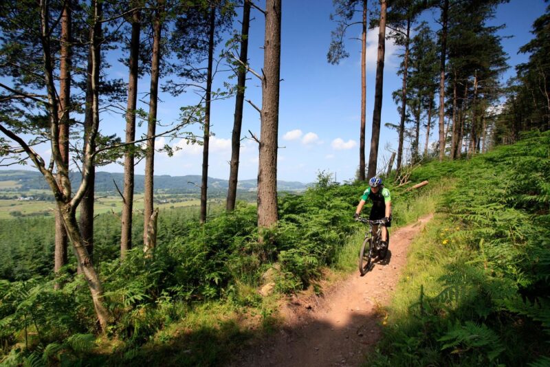 Mountain Bikers On The Red Trail Moyle Magic At The Dalbeattie