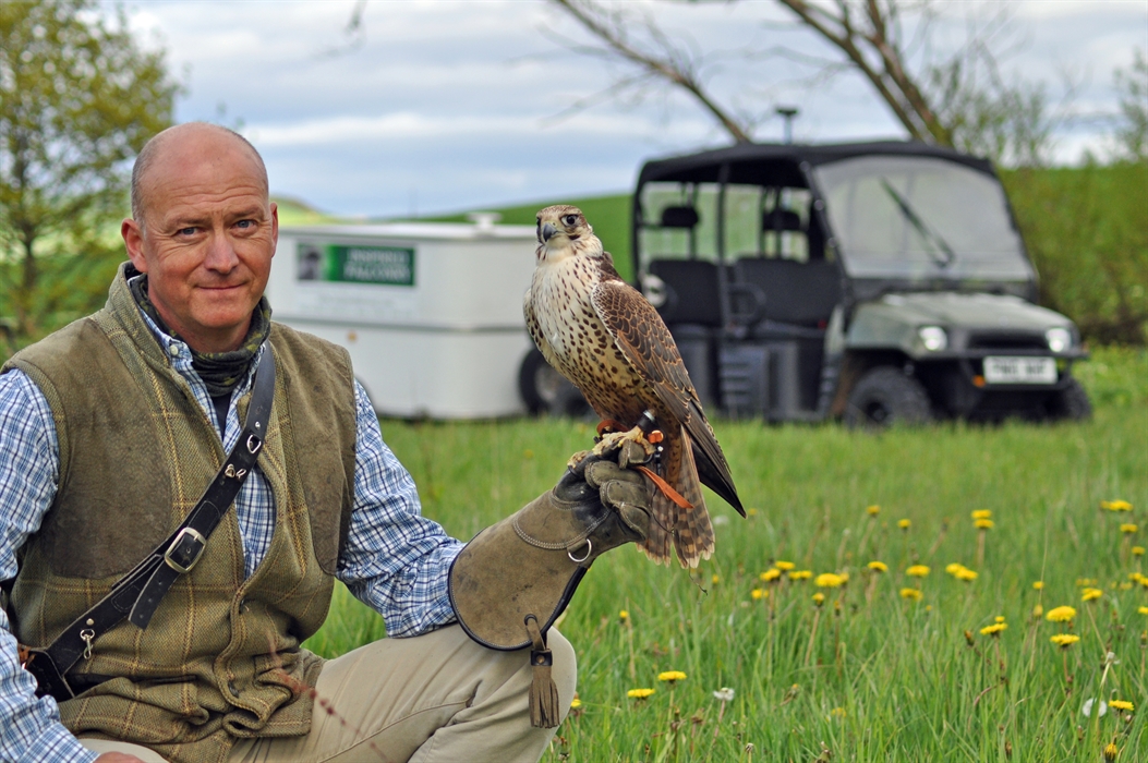 What is a bird of prey? — the SCOTTISH countryman