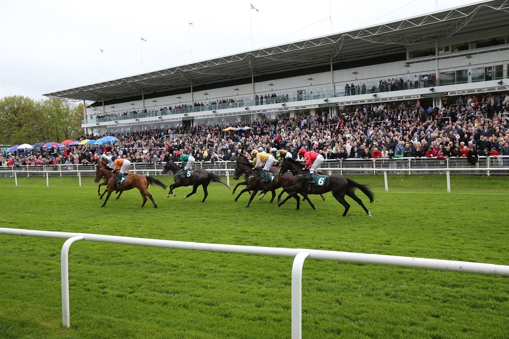 Race Meeting, Hamilton Equestrian VisitScotland