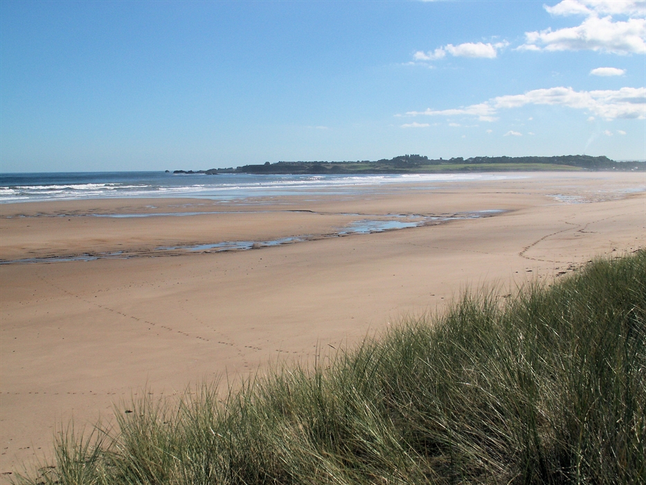 John Muir Country Park, Dunbar – Parks | VisitScotland