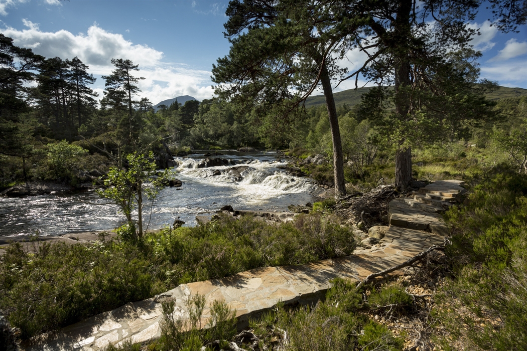 A Highland Day to Remember: Glen Affric